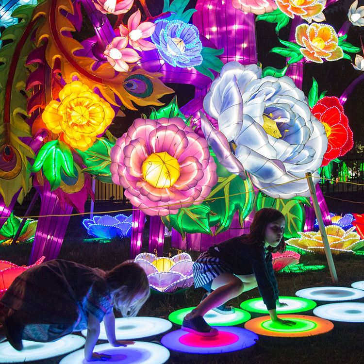 3125 (5)